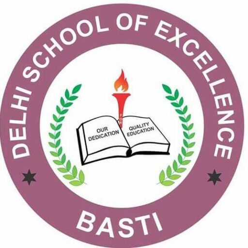 DELHI SCHOOL OF EXCELLENCE